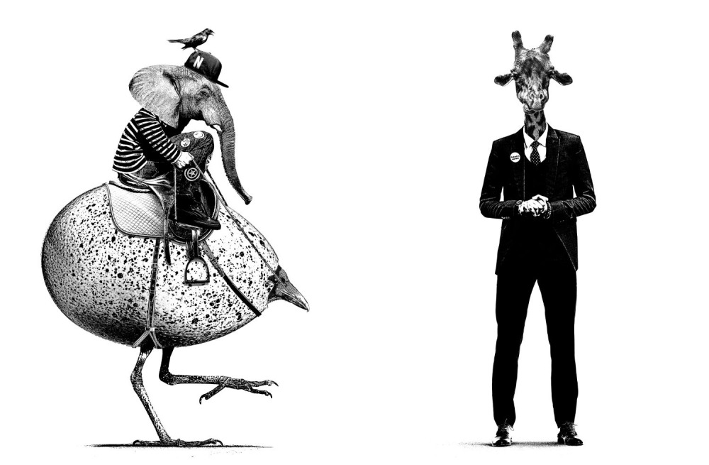 NUTS - Gregori Saavedra