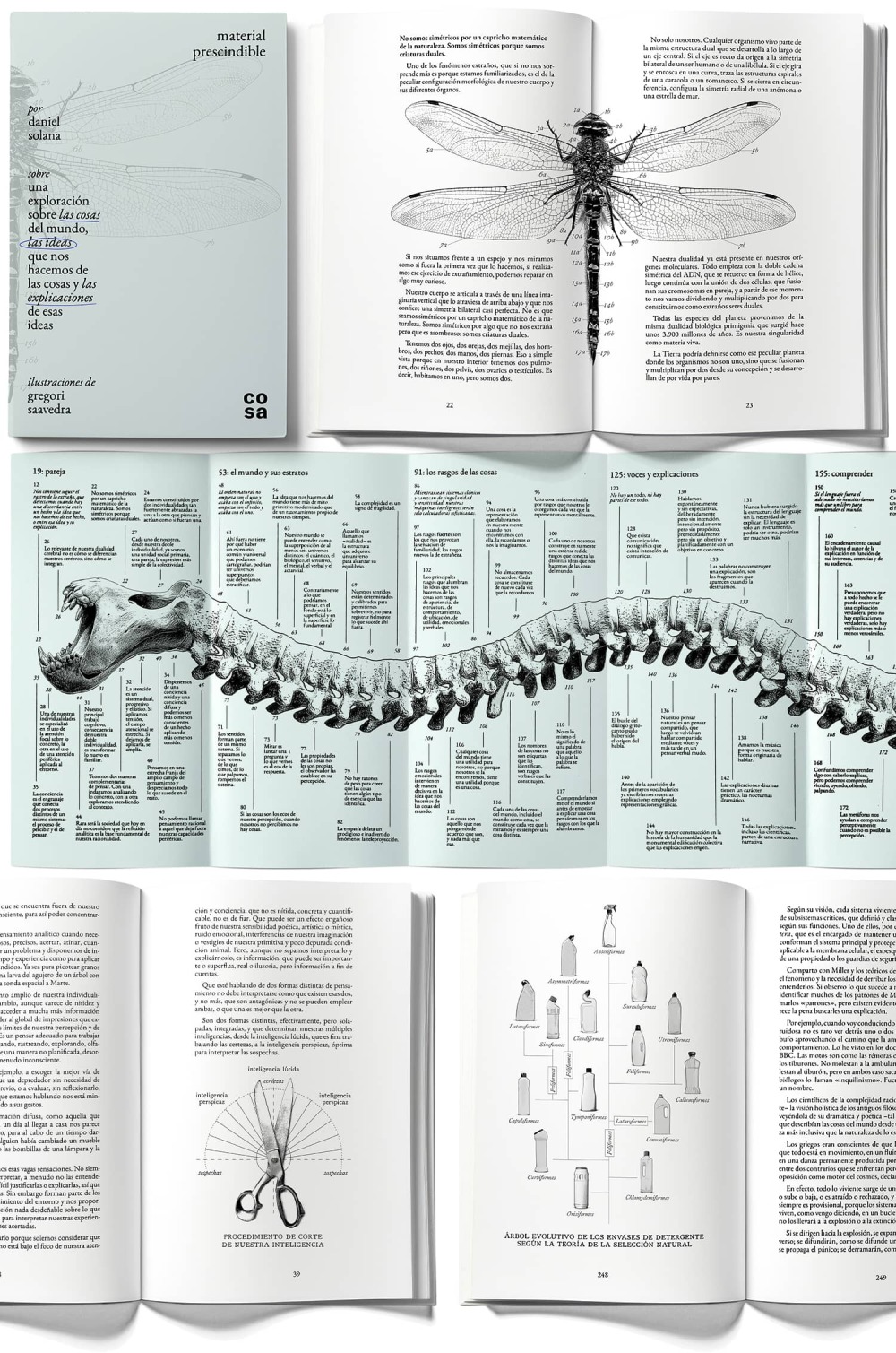 MATERIAL PRESCINDIBLE - Gregori Saavedra