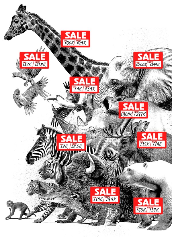 WILD MARKET